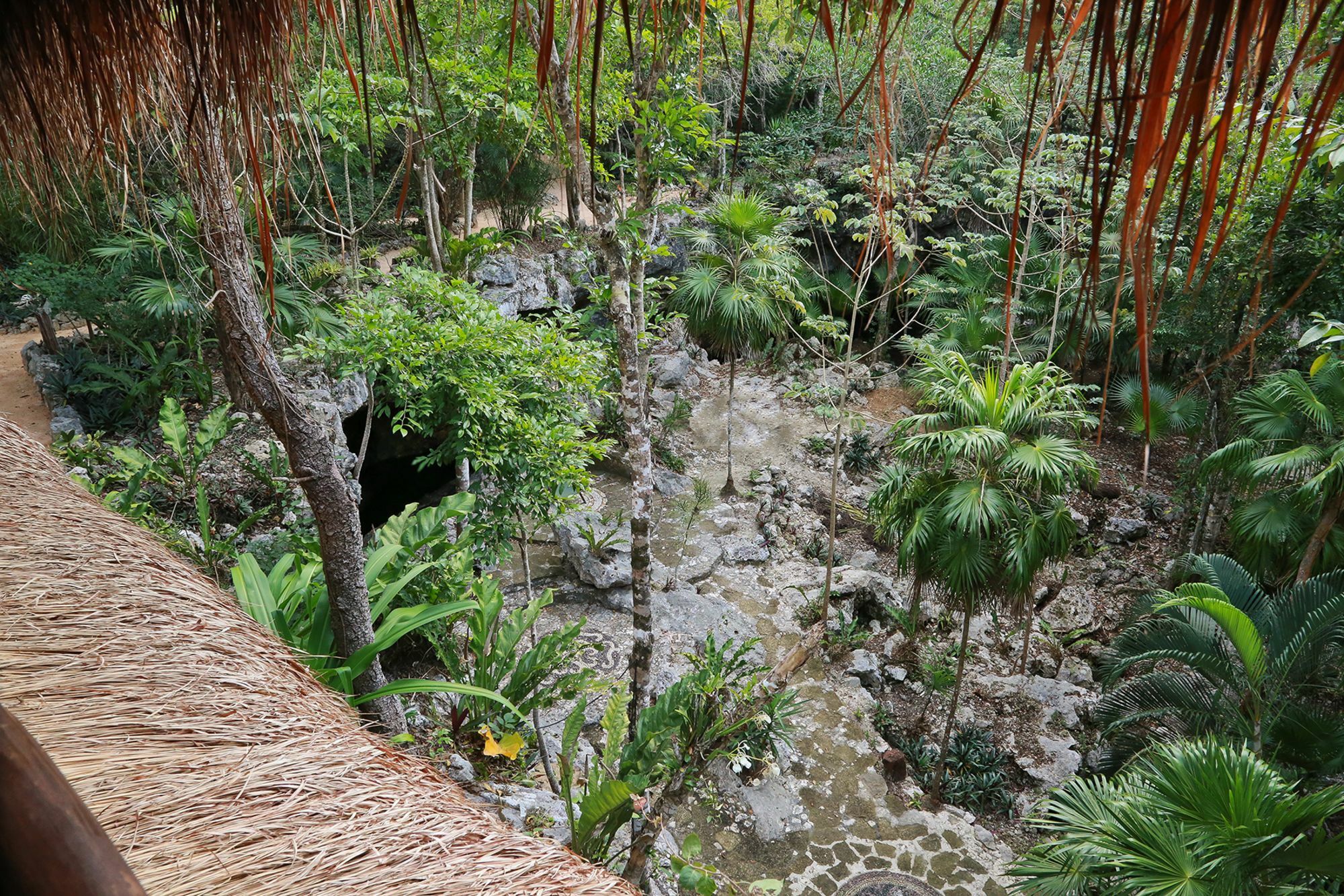 Aparthotel Akumal Jungle Habitat Exterior foto