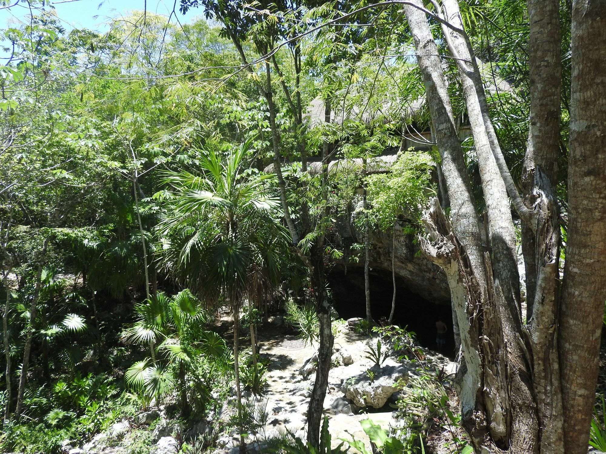 Aparthotel Akumal Jungle Habitat Exterior foto